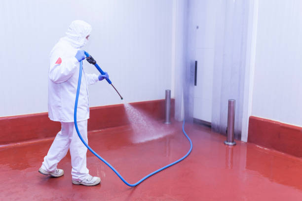 Best Driveway Pressure Washing  in Reidville, SC